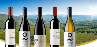 Тиквеш со извоз од 9,95 милиони евра во првите девет месеци годинава