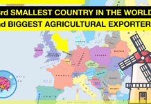 Како Холандија стана втор најголем извозник на светот?