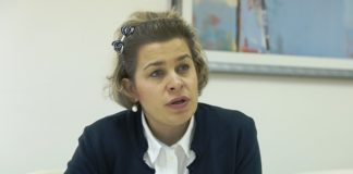 Анита Никова, МАСИТ: ИКТ секторот има голем потенцијал за извоз, потребни се мерки за да биде поконкурентен