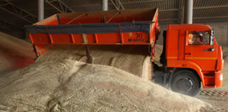 Русија го ограничи извозот на житарки