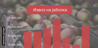 Со извоз од 20,6 милиони долари, Македонија e 26-ти најголем извозник на јаболка во светот