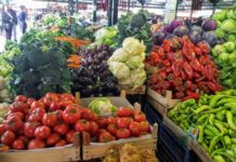 Во кои земји најмногу се извезува македонскиот зеленчук?