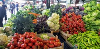 Во кои земји најмногу се извезува македонскиот зеленчук?