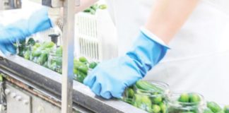 Пандемијата го зголеми извозот на преработки од овошје и зеленчук за 17,7%