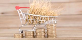 Светските цени на храната продолжуваат да паѓаат во јуни