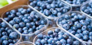 Русија го зголемила увозот на боровинки за 61% во првата половина од 2020