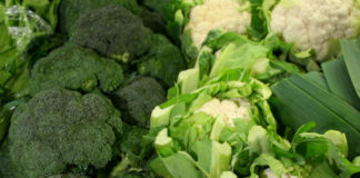 Пазарот на брокула и карфиол во светот вреди над 23 милијарди долари, кои земји се најголеми потрошувачи?