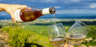 Тајните зад успешната извозна винска приказна на Нов Зеланд