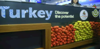 Турција со рекорден извоз на зеленчук и oвошје во 2020, Русија најголем пазар