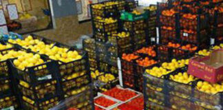 Најголеми увозници на овошје и зеленчук и клучни глобални трендови во увозот