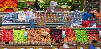 Кои овошја најдобро се продаваат на рускиот пазар?