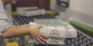 Пекабеско со раст на продажбите за 15% и намалена профитабилност за 19% во првата половина годинава