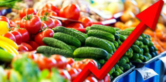 Повисоките цени ги зголемија приходите од извоз на храна: Во првите четири месеци остварени 128 милиони евра, за 13,7% повеќе од лани