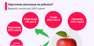 Русија е најголем пазар за македонските јаболка, лани извозот поголем за 58%