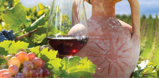 Македонските вина со најдобар сооднос на цена и квалитет за српските потрошувачи