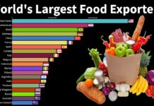 (Видеографик) Најголеми извозници на храна во светот