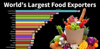 (Видеографик) Најголеми извозници на храна во светот