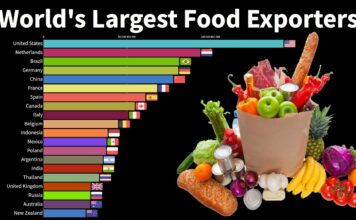 (Видеографик) Најголеми извозници на храна во светот