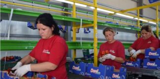 Албанија планира повеќе од двојно да го зголеми ивзозот на зеленчук и овошје во Европа до 2025