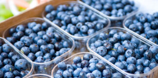 Побарувачката и извозот на боровинки растат повеќе од 10 години, светскиот пазар ќе достигнe 3 милијарди долари до 2025.