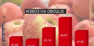 Лоши резултати во извозот на овошје: Извозот на јаболка помал за дури 30%