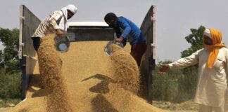 Вториот по големина светски производител на пченица го забрани извозот