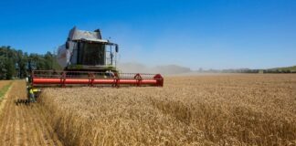 Извозот на пченица од Украина е помал за 64% во споредба со лани