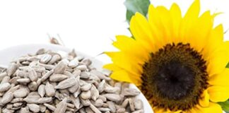Владата забрани извоз на семе од сончоглед