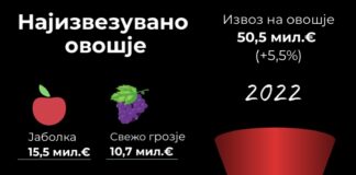 Кои овошја најмногу се извезувале лани и кои се најголемите извозни пазари?