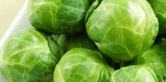 Украина стана најголем извозен пазар за македонската зелка, лани извозот зголемен повеќе од тројно