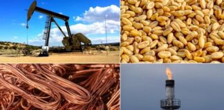 Остар пад на цените на суровините и енергијата предвидува Светска банка