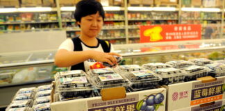 Кина стана најголем производител на боровинки во светот