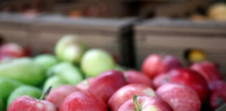 Залихите на јаболка во Европа се за 23% пониски од минатата година