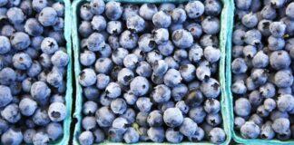 Топ 10 најголеми извозници на боровинки во светот