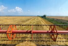 Војните и екстремното време ги туркаат цените на земјоделските производи кон најголем раст од 2012 година