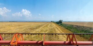 Анализа: Високите производни и ниските откупни цени се главниот проблем со кој се соочуваат земјоделците