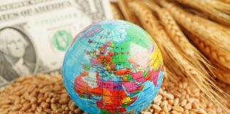 ФАО: Цените на храната повторно растат