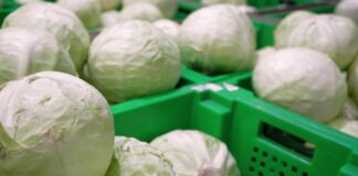 Ова се 10-те најголеми извозни пазари за храна на македонската прехранбена индустрија