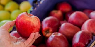 Кои земји најмногу увезуваат јаболка?