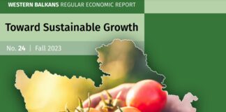 Економскиот раст во Западен Балкан ќе забрза во 2024 година, но бавно и нееднакво