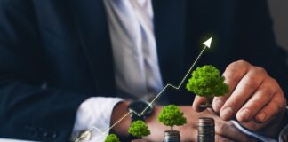 Повеќе средства за зелени инвестиции преку Фондот за енергетска ефикасност во Развојната банка, обезбедени 10 милиони евра од зелената обврзница