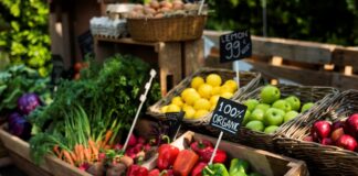 Европскиот пазар на органска храна ќе вреди 100 милијарди евра во 2027 година