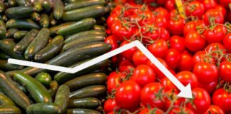 Алармантен пад на производството на краставици за 34% и на домати за 23% за само една година