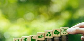 “Зелените” кредити пораснале за 29% во 2023