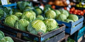 За три месеци од Македонија извезена храна вредна 116 милиони евра, а увезенa двојно повеќе