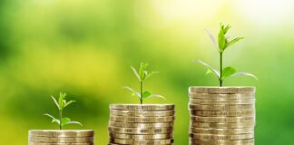 Годишен раст на зелените кредити од 26% во првиот квартал од 2024 година