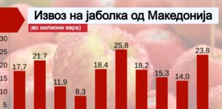 Успешна година за македонските извозници на јаболка: Извозот лани зголемен за 70%