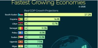 Топ 20 најброзрастечки економии во 2025