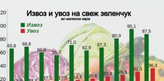 Извозот на свеж зеленчук лани се намалил за 8%, на 87,5 милиони евра, увозот продолжува да расте