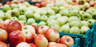 Силен старт на годината за извозот на јаболка: Два и пол пати зголемување во споредба со лани